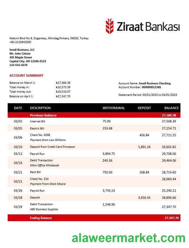 Ziraat Bankasi business checking account statement Word and PDF template